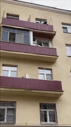 16205076447.gif