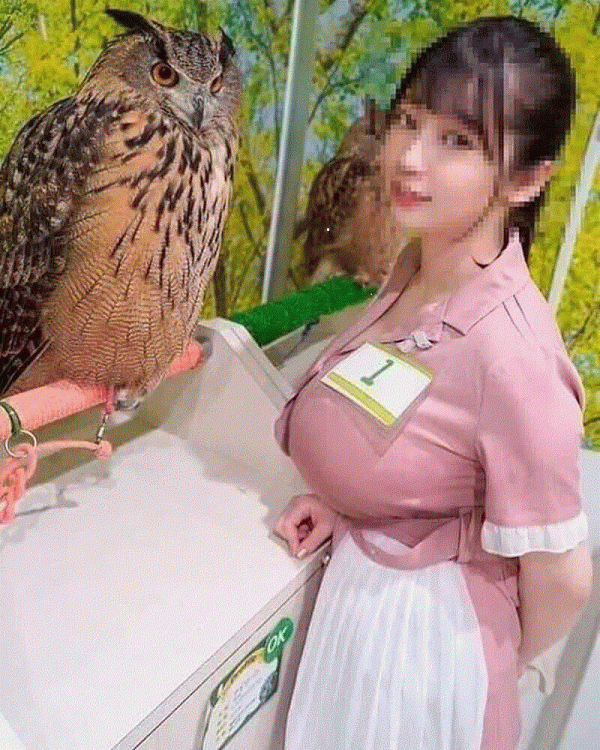 846624f579bdaf784bbc12e0341fb235_1768213758_5664.gif
