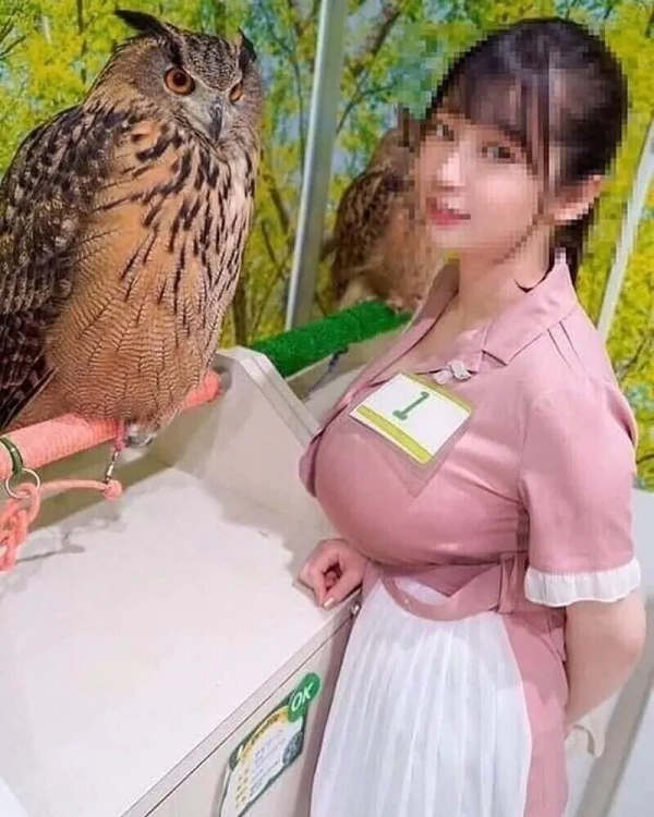 9f0012c3188aced7b597e196da54e717_1776346397_3487.webp